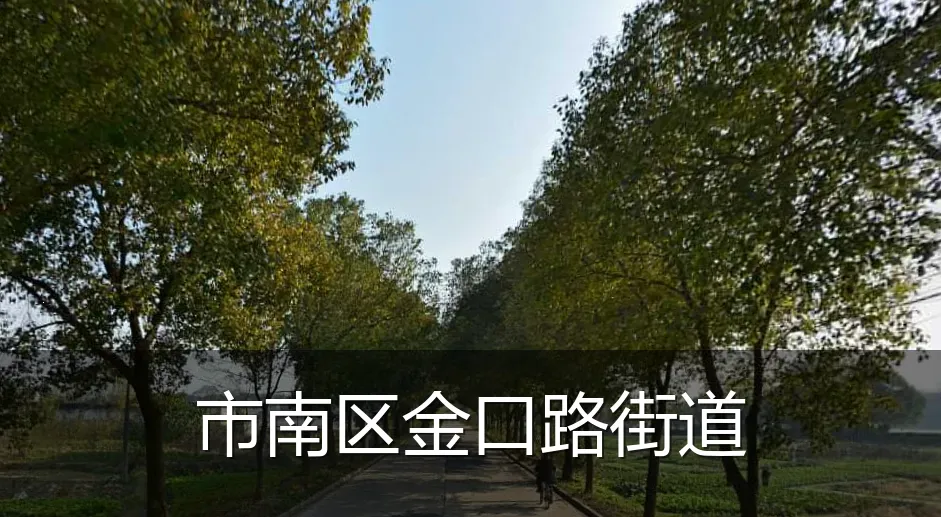 市南区金口路街道